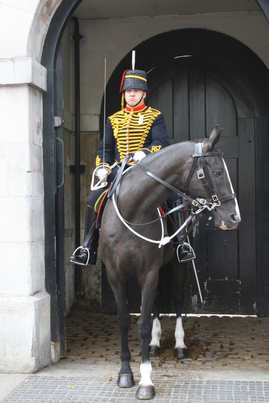 Royal Horseguard (with horse) Royal Horseguard on horseback guarding the back gate of the Royal Horseguards, in dark uniform.