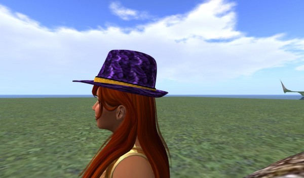 TinyHatMesh_001