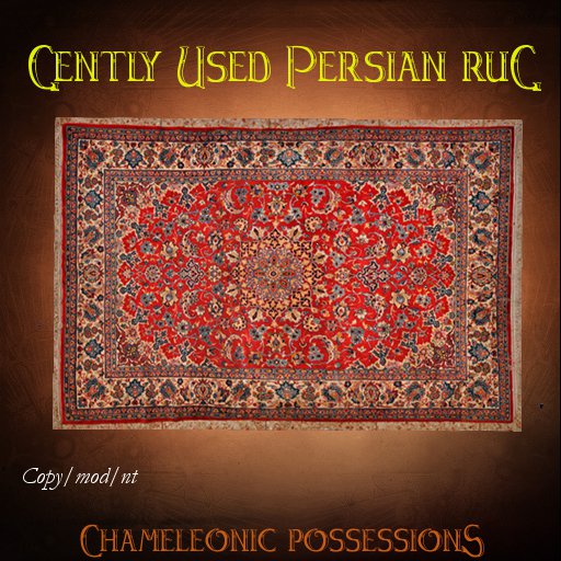 Gently Used Persian Rug — $L25 #SLMarketplace