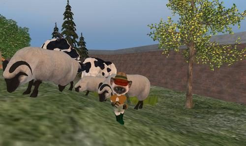 Dinkie Farmer in Second Life
