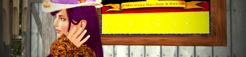 Proof of #SecondLife: Back #Inworld And My #NVIDIA Settings Are Borked Again