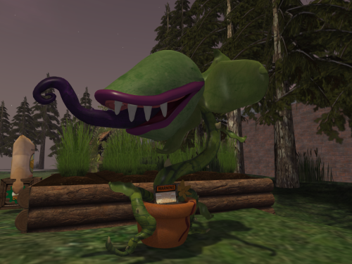Bizarre Man Eating Plant Gives Virtual Salt in Second Life... it's complicated.