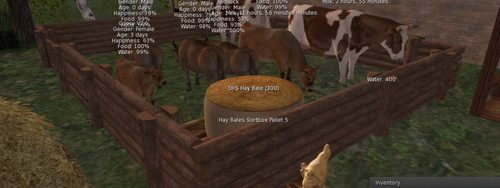 Just clawed back $L550 #SecondLife
