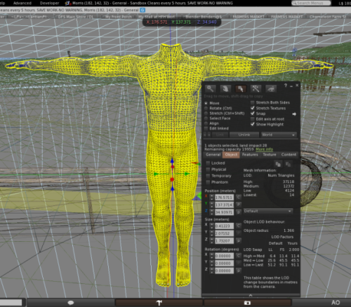 Senra Avatar Mesh Topology