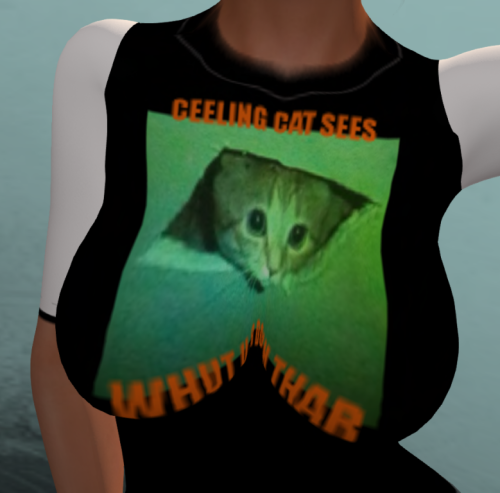 Ceeling Cat Sees Whut You Did Thar is what the T shirt says