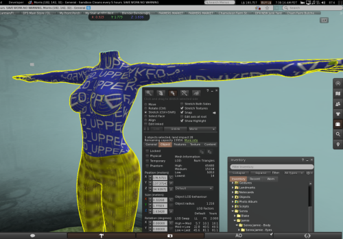 Second Life Senra Mesh Body - Female showing terribly stretched textures over the bazooms.