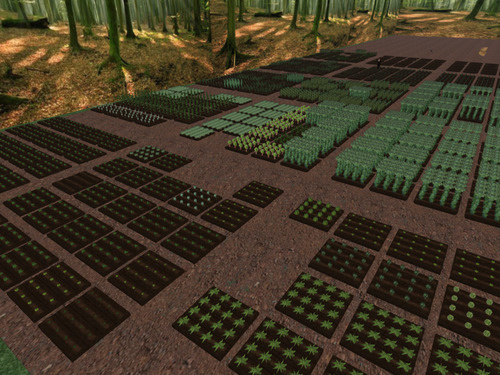 Hundreds of Second Life virtual fields set out for sale