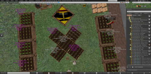 Overhead shot of a small Second Life virtual farm using the DFS system showing 19 "fields"